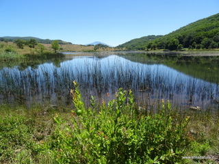 Biviere Cesaro